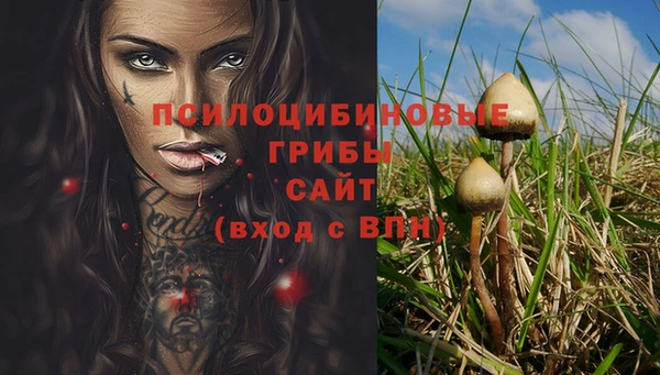кристаллы Белокуриха