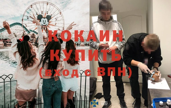 гашик Семилуки