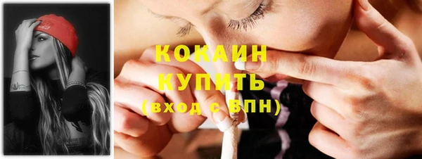 гашик Семилуки