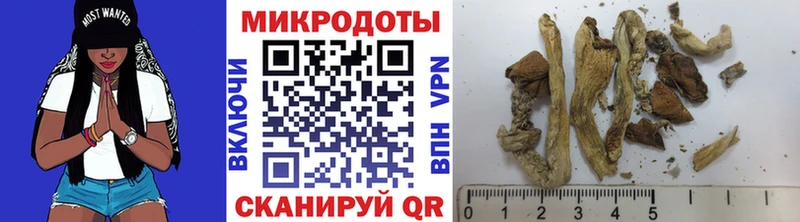 где купить наркоту  Красково  Галлюциногенные грибы Cubensis 